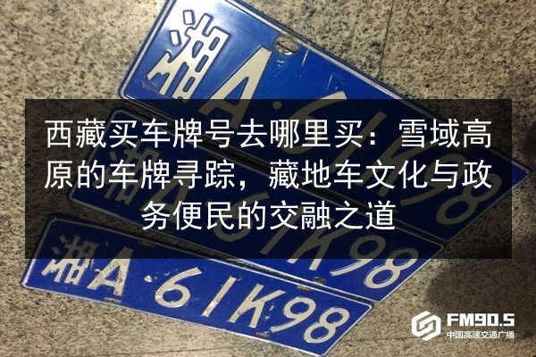 西藏买车牌号去哪里买:雪域高原的车牌寻踪,藏地车文化与政务便民的交融之道 第2张 西藏买车牌号去哪里买:雪域高原的车牌寻踪,藏地车文化与政务便民的交融之道 第2张
