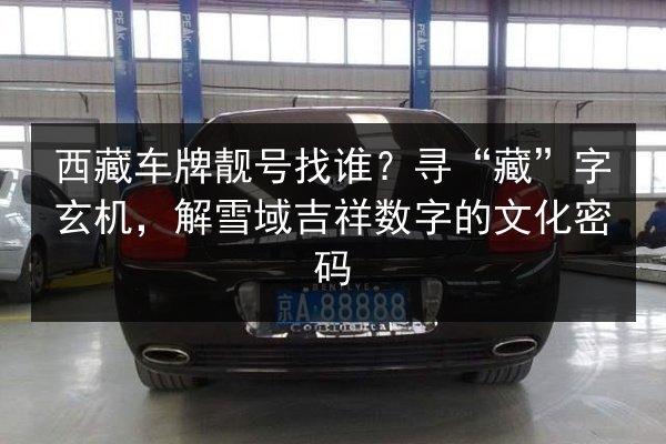 西藏车牌靓号找谁？寻“藏”字玄机，解雪域吉祥数字的文化密码 第2张
