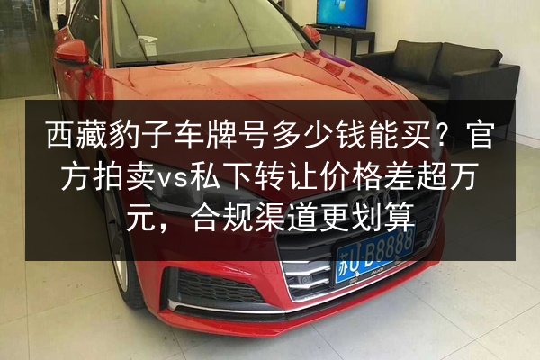 西藏豹子车牌号多少钱能买？官方拍卖vs私下转让价格差超万元，合规渠道更划算