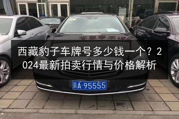 西藏豹子车牌号多少钱一个？2024最新拍卖行情与价格解析 第2张