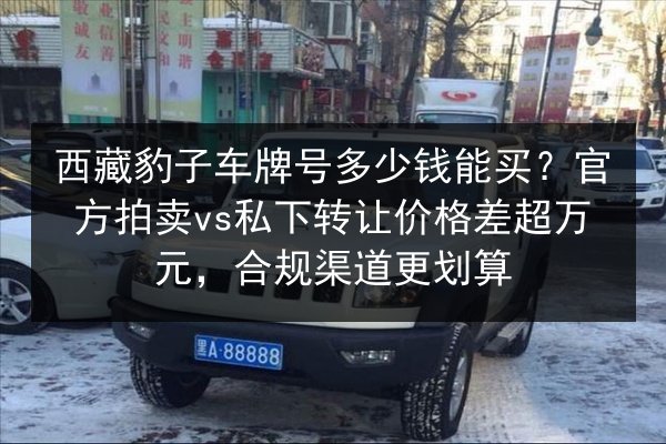 西藏豹子车牌号多少钱能买?官方拍卖vs私下转让价格差超万元,合规渠道更划算 第2张 西藏豹子车牌号多少钱能买?官方拍卖vs私下转让价格差超万元,合规渠道更划算 第2张