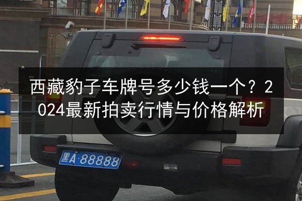 西藏豹子车牌号多少钱一个？2024最新拍卖行情与价格解析 第3张