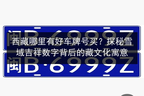 西藏哪里有好车牌号买?探秘雪域吉祥数字背后的藏文化寓意 第3张 西藏哪里有好车牌号买?探秘雪域吉祥数字背后的藏文化寓意 第3张