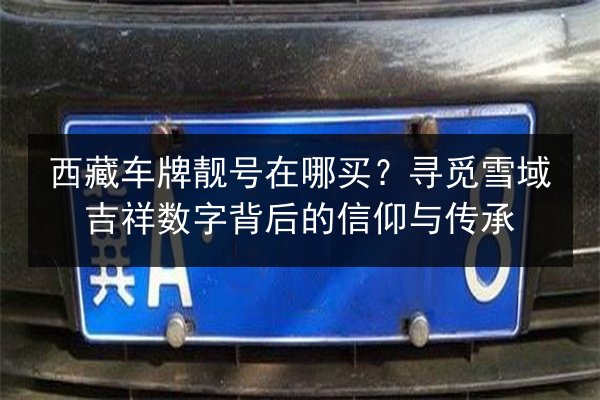 西藏车牌靓号在哪买?寻觅雪域吉祥数字背后的信仰与传承 第3张 西藏车牌靓号在哪买?寻觅雪域吉祥数字背后的信仰与传承 第3张