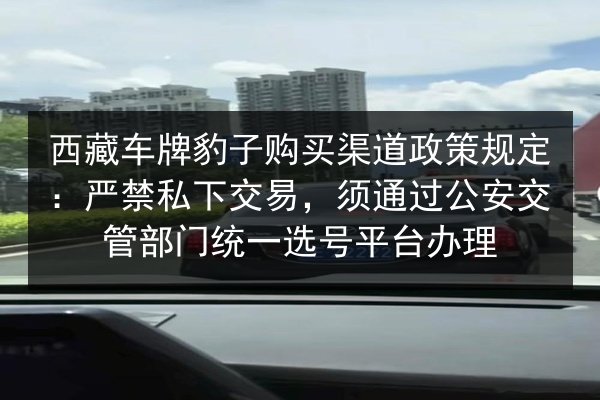西藏车牌豹子购买渠道政策规定：严禁私下交易，须通过公安交管部门统一选号平台办理 第2张