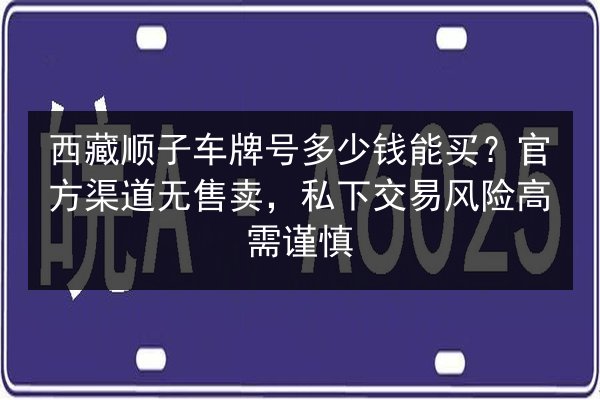 西藏顺子车牌号多少钱能买？官方渠道无售卖，私下交易风险高需谨慎 第1张