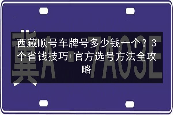 西藏顺号车牌号多少钱一个？3个省钱技巧+官方选号方法全攻略 第2张