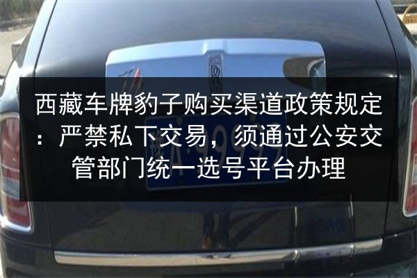 西藏车牌豹子购买渠道政策规定：严禁私下交易，须通过公安交管部门统一选号平台办理 第3张