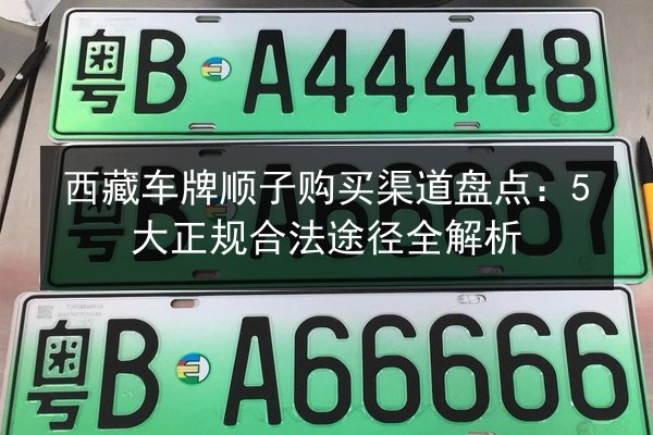 西藏车牌顺子购买渠道盘点：5大正规合法途径全解析 第1张