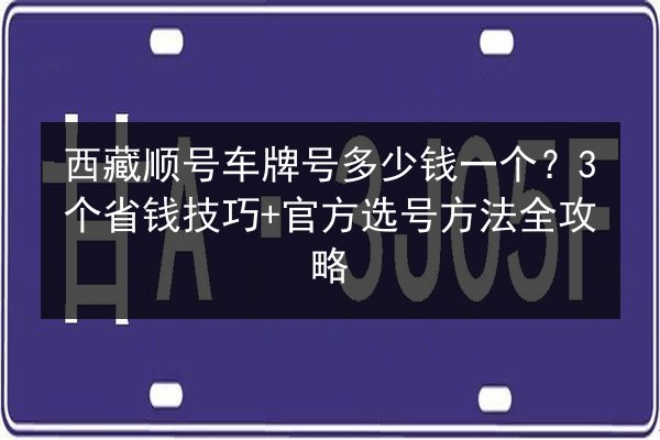 西藏顺号车牌号多少钱一个？3个省钱技巧+官方选号方法全攻略 第3张