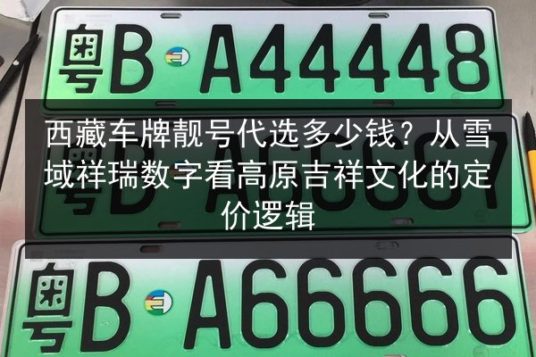 西藏车牌靓号代选多少钱？从雪域祥瑞数字看高原吉祥文化的定价逻辑 第2张