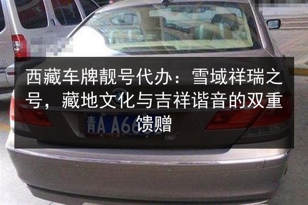 西藏车牌靓号代办：雪域祥瑞之号，藏地文化与吉祥谐音的双重馈赠 第2张