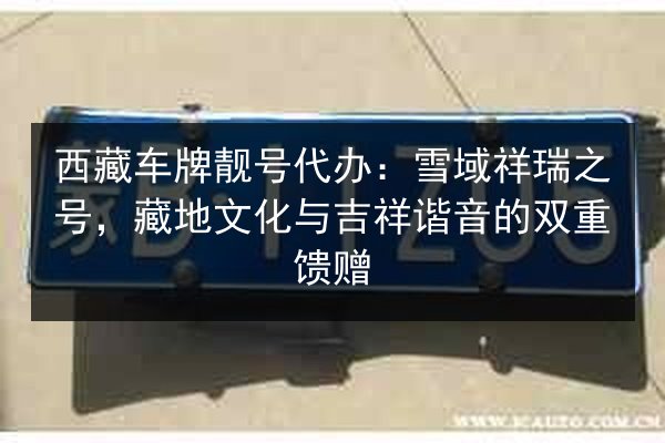西藏车牌靓号代办：雪域祥瑞之号，藏地文化与吉祥谐音的双重馈赠 第3张