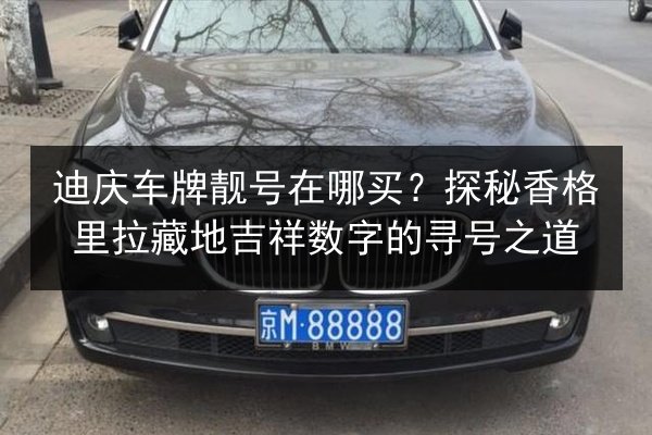 迪庆车牌靓号在哪买？探秘香格里拉藏地吉祥数字的寻号之道
