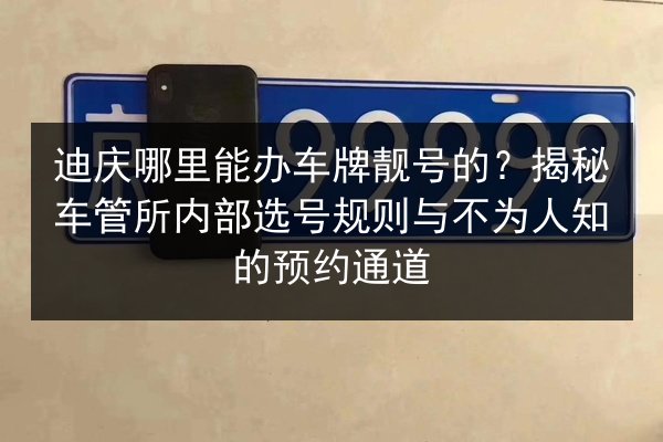 迪庆哪里能办车牌靓号的？揭秘车管所内部选号规则与不为人知的预约通道 第3张