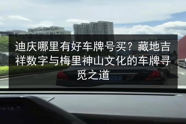 迪庆哪里有好车牌号买？藏地吉祥数字与梅里神山文化的车牌寻觅之道 第3张