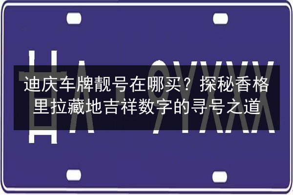 迪庆车牌靓号在哪买？探秘香格里拉藏地吉祥数字的寻号之道 第3张