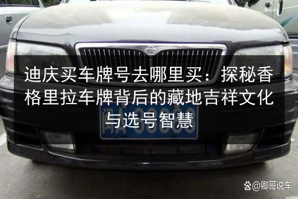 迪庆买车牌号去哪里买:探秘香格里拉车牌背后的藏地吉祥文化与选号智慧 第2张 迪庆买车牌号去哪里买:探秘香格里拉车牌背后的藏地吉祥文化与选号智慧 第2张
