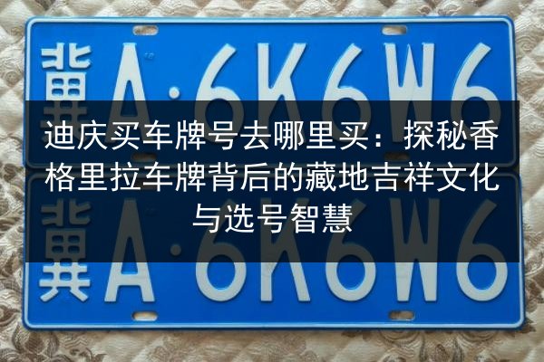 迪庆买车牌号去哪里买:探秘香格里拉车牌背后的藏地吉祥文化与选号智慧 第3张 迪庆买车牌号去哪里买:探秘香格里拉车牌背后的藏地吉祥文化与选号智慧 第3张