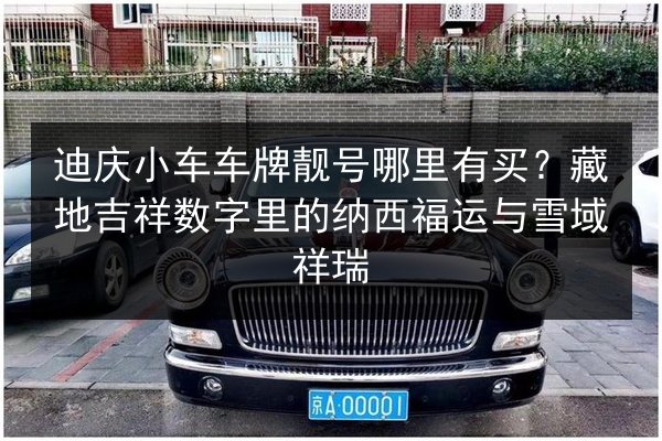 迪庆小车车牌靓号哪里有买?藏地吉祥数字里的纳西福运与雪域祥瑞 第2张 迪庆小车车牌靓号哪里有买?藏地吉祥数字里的纳西福运与雪域祥瑞 第2张