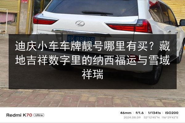 迪庆小车车牌靓号哪里有买?藏地吉祥数字里的纳西福运与雪域祥瑞 第3张 迪庆小车车牌靓号哪里有买?藏地吉祥数字里的纳西福运与雪域祥瑞 第3张