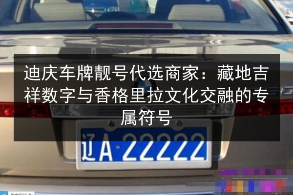 迪庆车牌靓号代选商家：藏地吉祥数字与香格里拉文化交融的专属符号 第3张