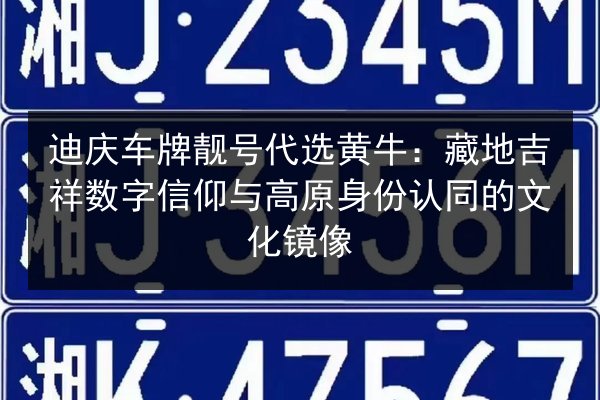 迪庆车牌靓号代选黄牛：藏地吉祥数字信仰与高原身份认同的文化镜像 第2张