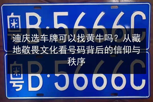 迪庆选车牌可以找黄牛吗?从藏地敬畏文化看号码背后的信仰与秩序 第3张 迪庆选车牌可以找黄牛吗?从藏地敬畏文化看号码背后的信仰与秩序 第3张