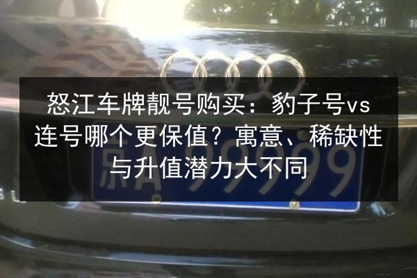 怒江车牌靓号购买：豹子号vs连号哪个更保值？寓意、稀缺性与升值潜力大不同 第2张