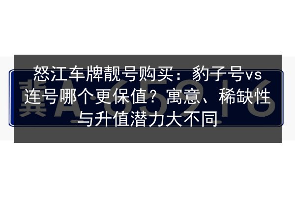 怒江车牌靓号购买：豹子号vs连号哪个更保值？寓意、稀缺性与升值潜力大不同 第3张