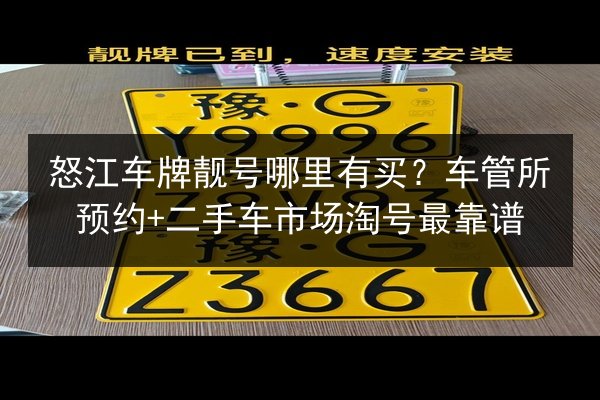 怒江车牌靓号哪里有买？车管所预约+二手车市场淘号最靠谱