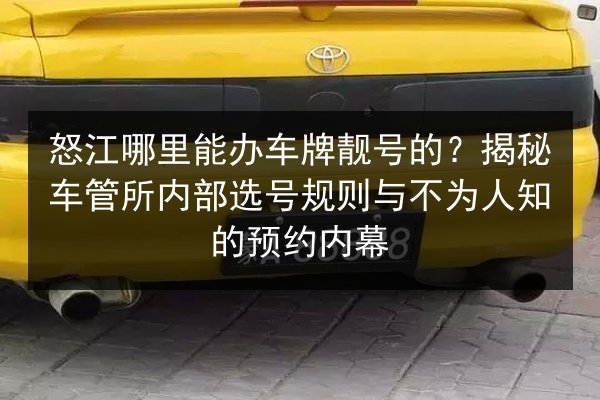 怒江哪里能办车牌靓号的?揭秘车管所内部选号规则与不为人知的预约内幕 第1张 怒江哪里能办车牌靓号的?揭秘车管所内部选号规则与不为人知的预约内幕 第1张