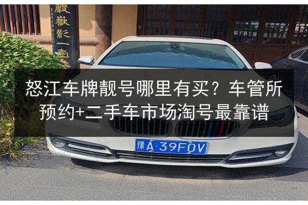 怒江车牌靓号哪里有买？车管所预约+二手车市场淘号最靠谱 第2张