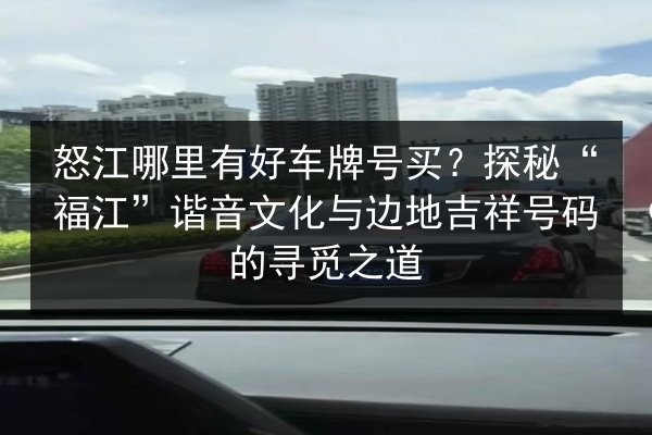 怒江哪里有好车牌号买？探秘“福江”谐音文化与边地吉祥号码的寻觅之道 第2张