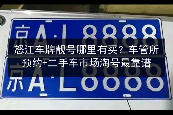 怒江车牌靓号哪里有买？车管所预约+二手车市场淘号最靠谱 第3张