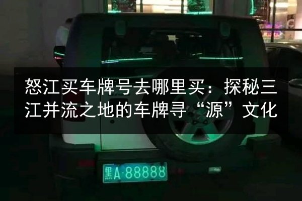 怒江买车牌号去哪里买:探秘三江并流之地的车牌寻“源”文化 第2张 怒江买车牌号去哪里买:探秘三江并流之地的车牌寻“源”文化 第2张