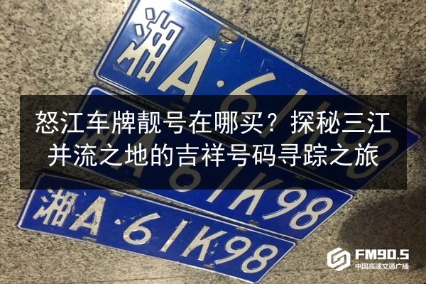 怒江车牌靓号在哪买？探秘三江并流之地的吉祥号码寻踪之旅 第2张