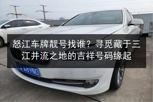 怒江车牌靓号找谁?寻觅藏于三江并流之地的吉祥号码缘起 第2张 怒江车牌靓号找谁?寻觅藏于三江并流之地的吉祥号码缘起 第2张
