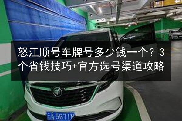 怒江顺号车牌号多少钱一个？3个省钱技巧+官方选号渠道攻略 第2张