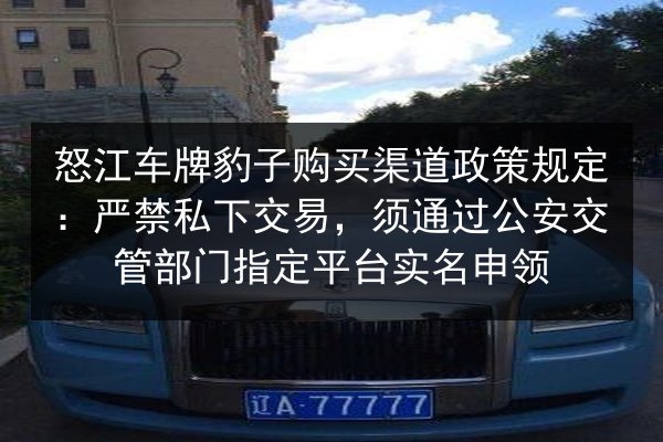 怒江车牌豹子购买渠道政策规定：严禁私下交易，须通过公安交管部门指定平台实名申领 第2张