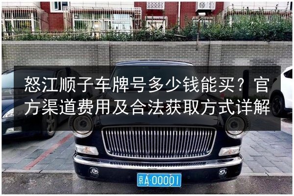 怒江顺子车牌号多少钱能买?官方渠道费用及合法获取方式详解 第2张 怒江顺子车牌号多少钱能买?官方渠道费用及合法获取方式详解 第2张