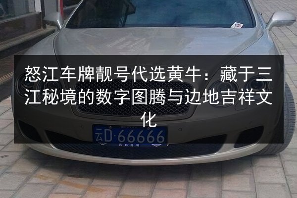 怒江车牌靓号代选黄牛：藏于三江秘境的数字图腾与边地吉祥文化 第2张