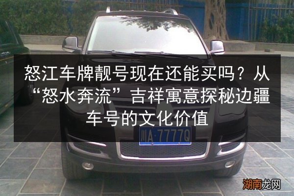 怒江车牌靓号现在还能买吗?从“怒水奔流”吉祥寓意探秘边疆车号的文化价值 第2张 怒江车牌靓号现在还能买吗?从“怒水奔流”吉祥寓意探秘边疆车号的文化价值 第2张