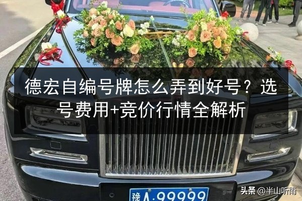 德宏自编号牌怎么弄到好号?选号费用+竞价行情全解析 第2张 德宏自编号牌怎么弄到好号?选号费用+竞价行情全解析 第2张
