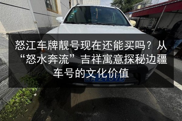 怒江车牌靓号现在还能买吗?从“怒水奔流”吉祥寓意探秘边疆车号的文化价值 第3张 怒江车牌靓号现在还能买吗?从“怒水奔流”吉祥寓意探秘边疆车号的文化价值 第3张