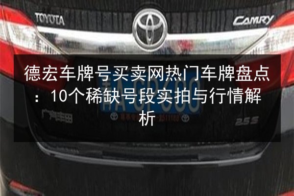 德宏车牌号买卖网热门车牌盘点：10个稀缺号段实拍与行情解析 第3张