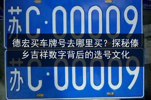 德宏买车牌号去哪里买?探秘傣乡吉祥数字背后的选号文化 第1张 德宏买车牌号去哪里买?探秘傣乡吉祥数字背后的选号文化 第1张