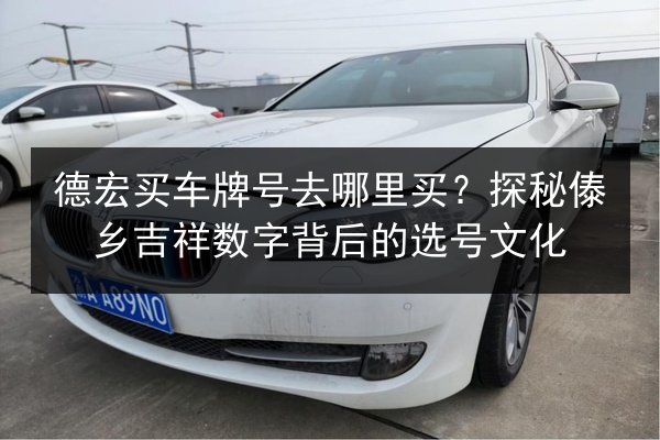 德宏买车牌号去哪里买?探秘傣乡吉祥数字背后的选号文化 第2张 德宏买车牌号去哪里买?探秘傣乡吉祥数字背后的选号文化 第2张
