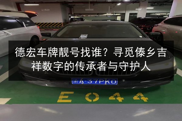 德宏车牌靓号找谁?寻觅傣乡吉祥数字的传承者与守护人 第3张 德宏车牌靓号找谁?寻觅傣乡吉祥数字的传承者与守护人 第3张