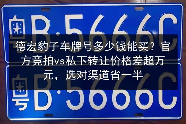 德宏豹子车牌号多少钱能买?官方竞拍vs私下转让价格差超万元,选对渠道省一半 第2张 德宏豹子车牌号多少钱能买?官方竞拍vs私下转让价格差超万元,选对渠道省一半 第2张